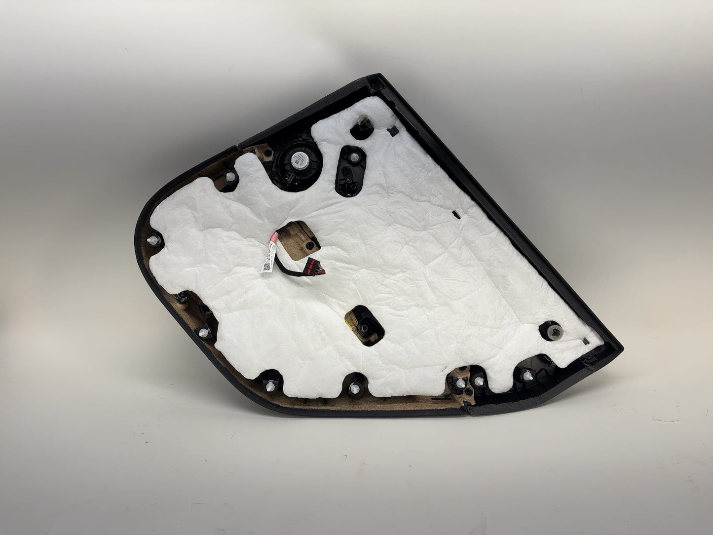 2024-2025 Tesla Model 3 Highland Rear Left Door Panel 1776470-20-E