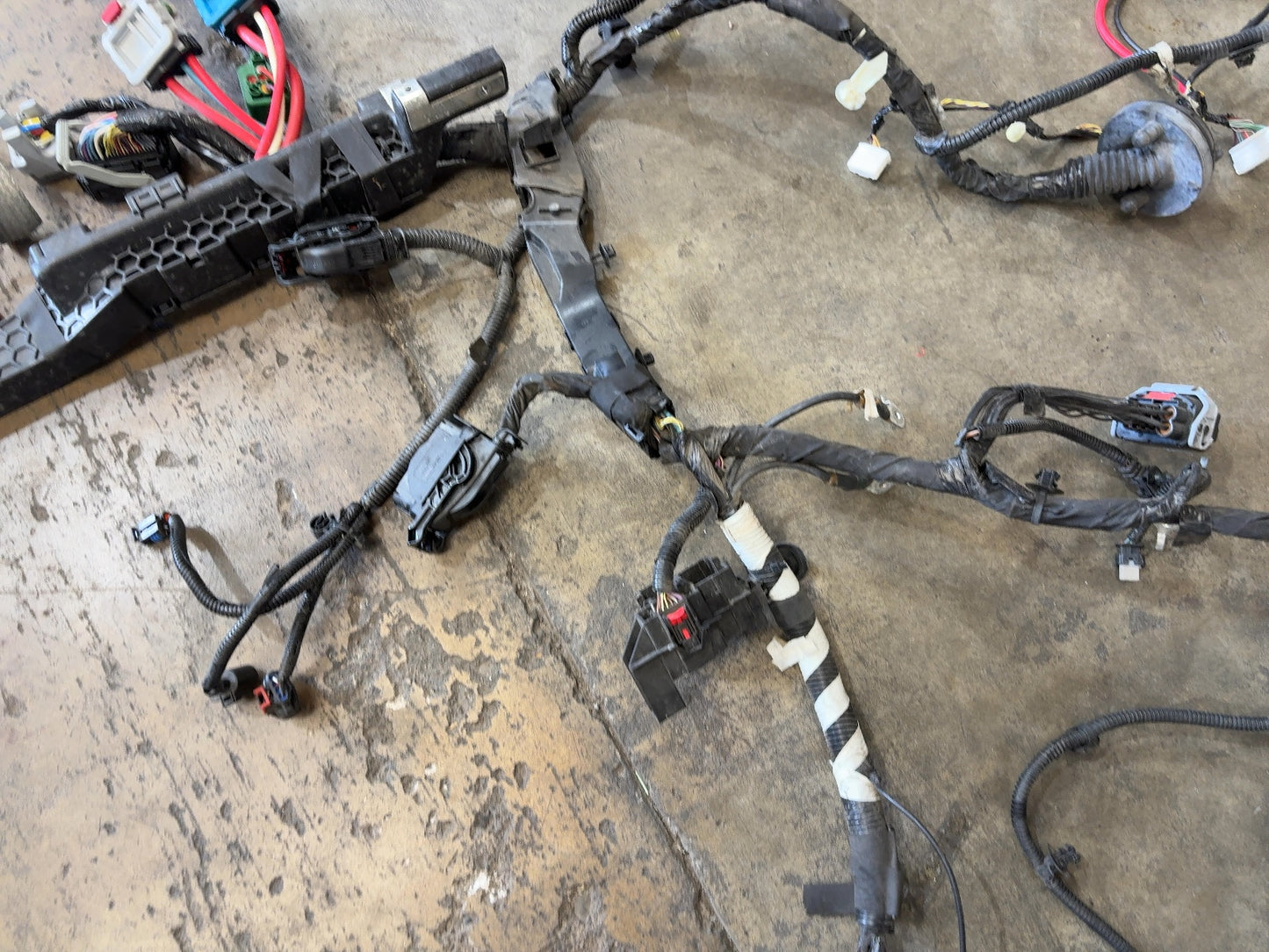 2022 Tesla Model 3 Front Body Harness 3067964-01-C