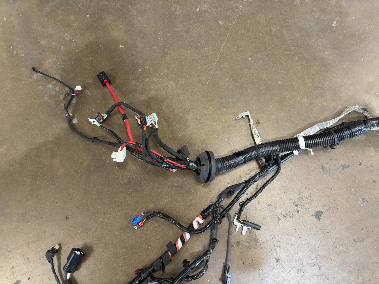 2026 Tesla Model 3 Highland Front Body Harness 2897330-11-A