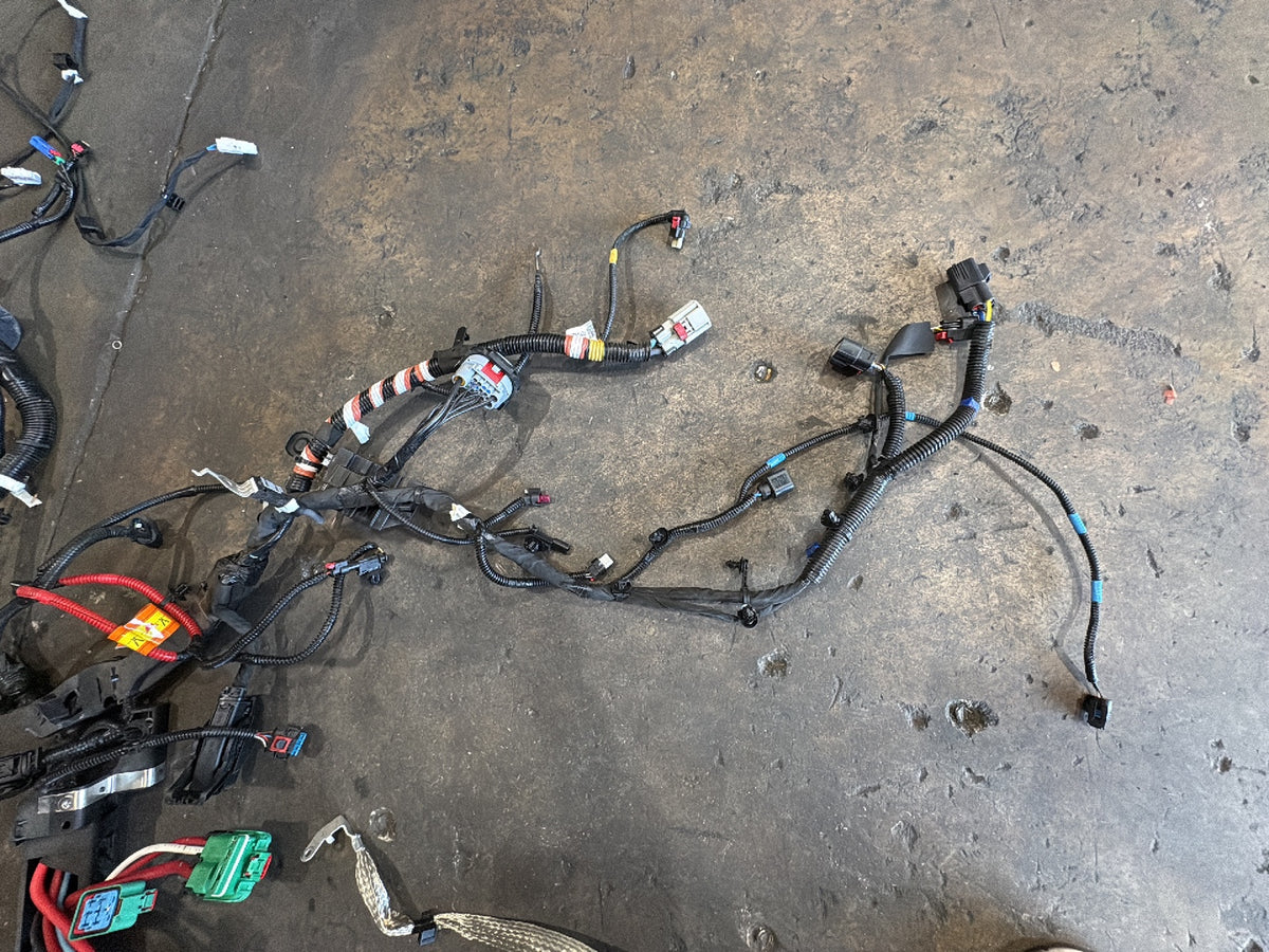 2026 Tesla Model 3 Highland Front Body Harness 2897330-11-A