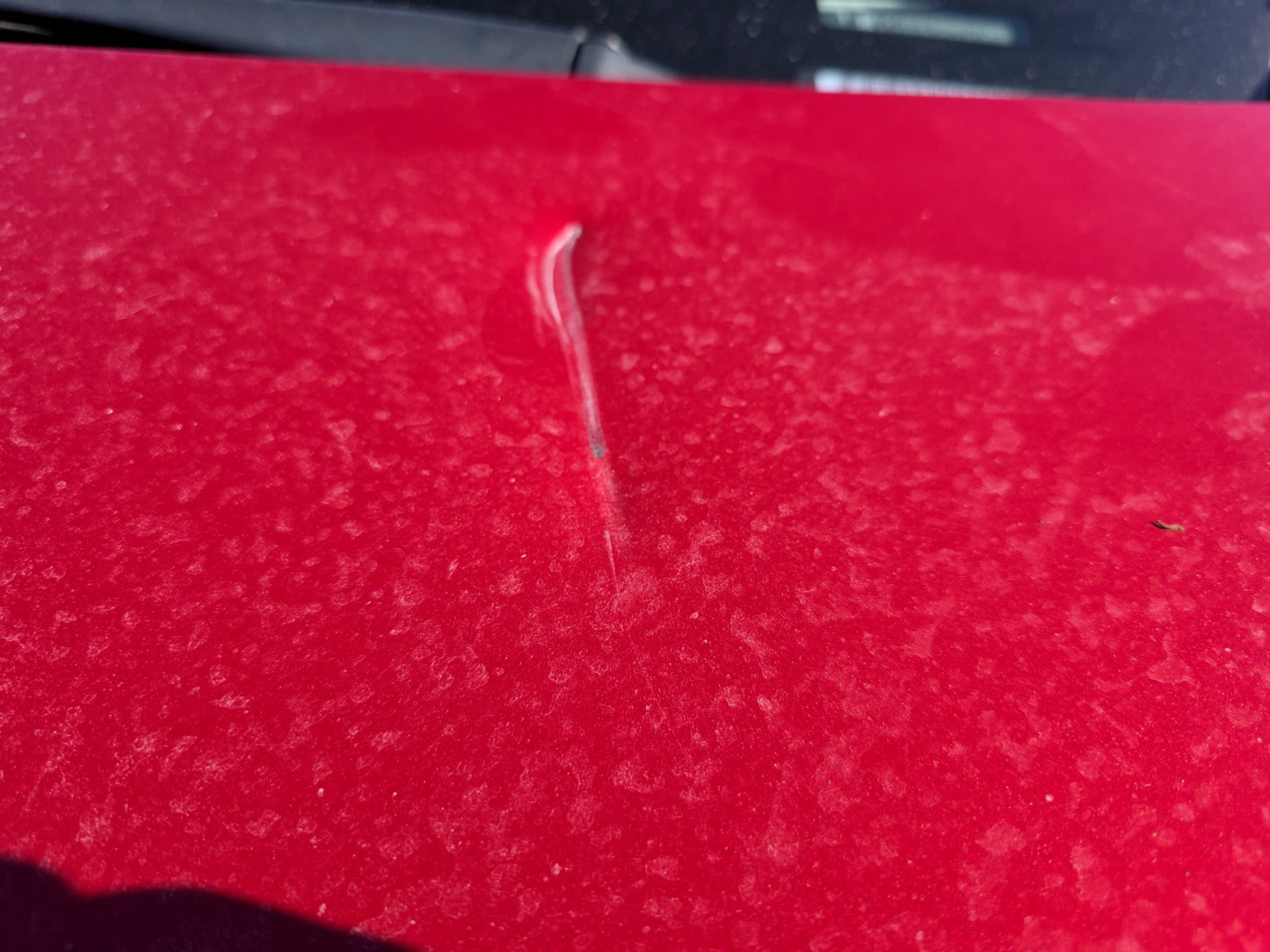 2021-2023 Tesla Model 3 Hood 1081390-E0-C