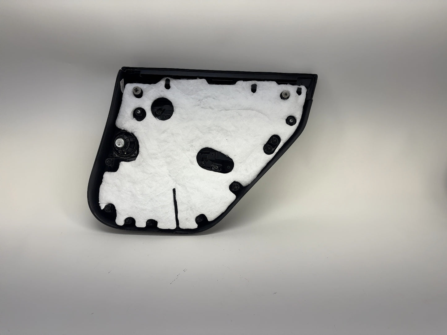 2023 Tesla Model 3 Rear Left Door Panel 1761128-01-B