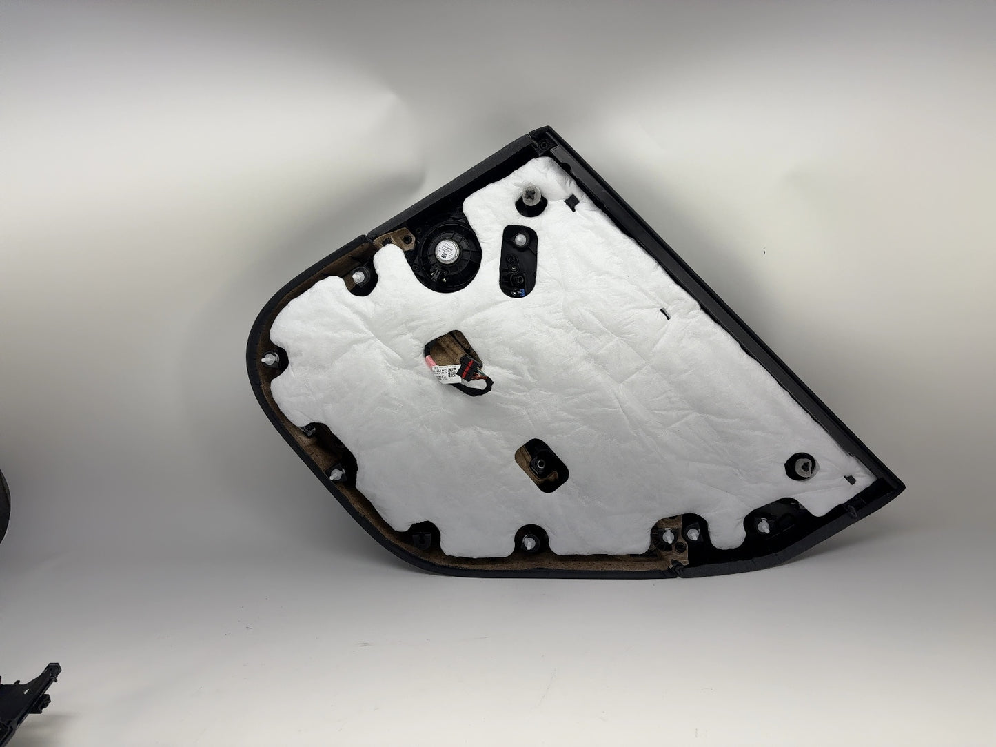 2026 Tesla Model 3 Highland Rear Left Door Panel 1776470-20-F