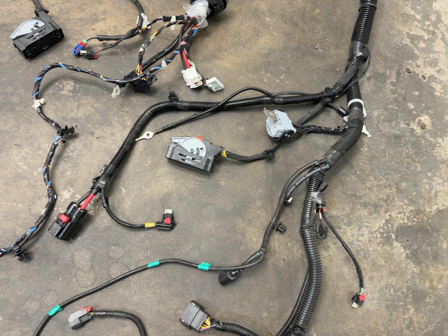 2026 Tesla Model Y Juniper Front Body Harness 2933901-11-C