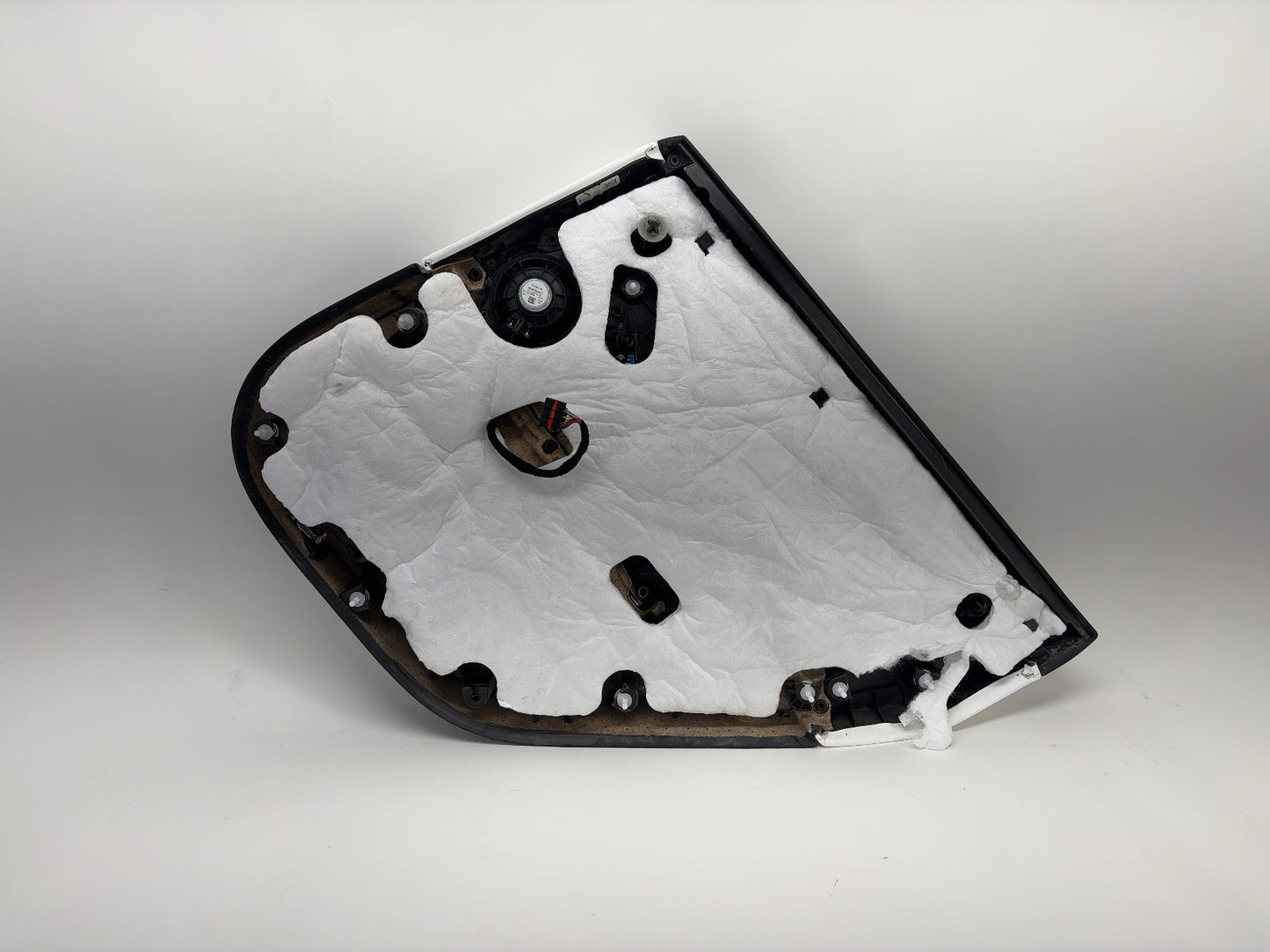 2024-2025 Tesla Model 3 Highland Rear Left Door Panel 1776470-20-E