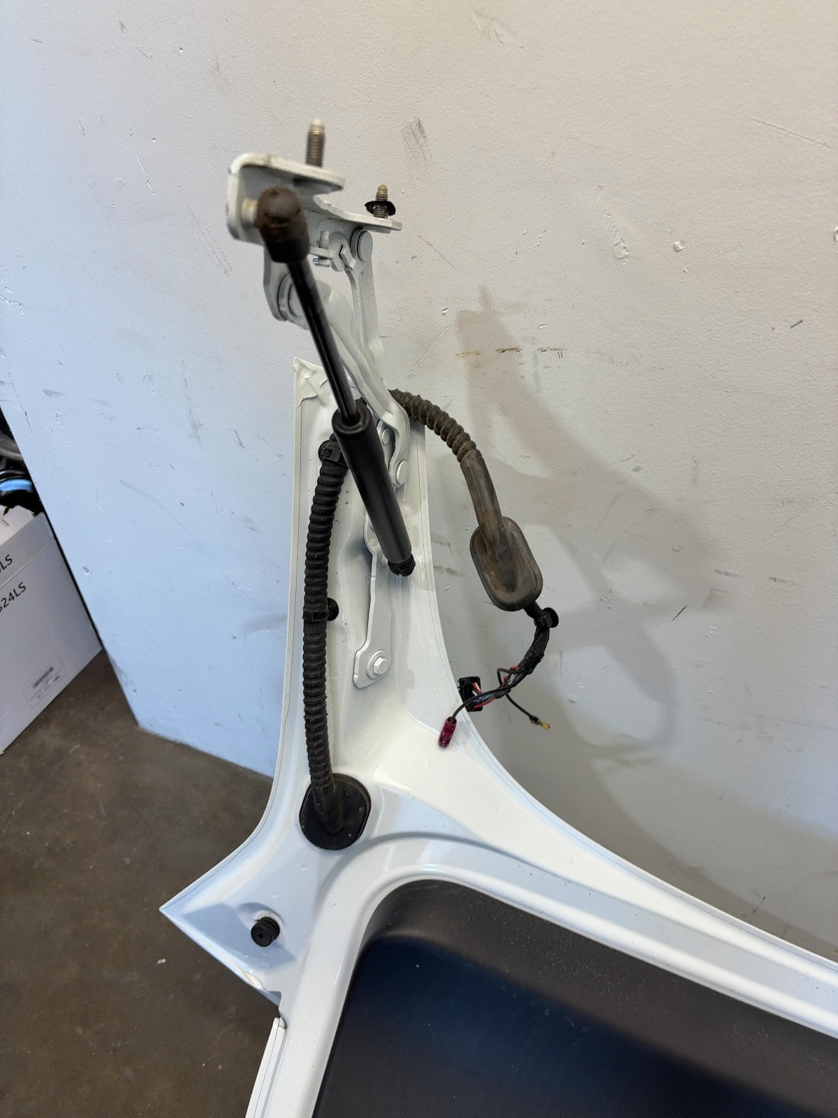 2021-2023 Tesla Model 3 Trunk Lid Assembly 1601460-E0-A