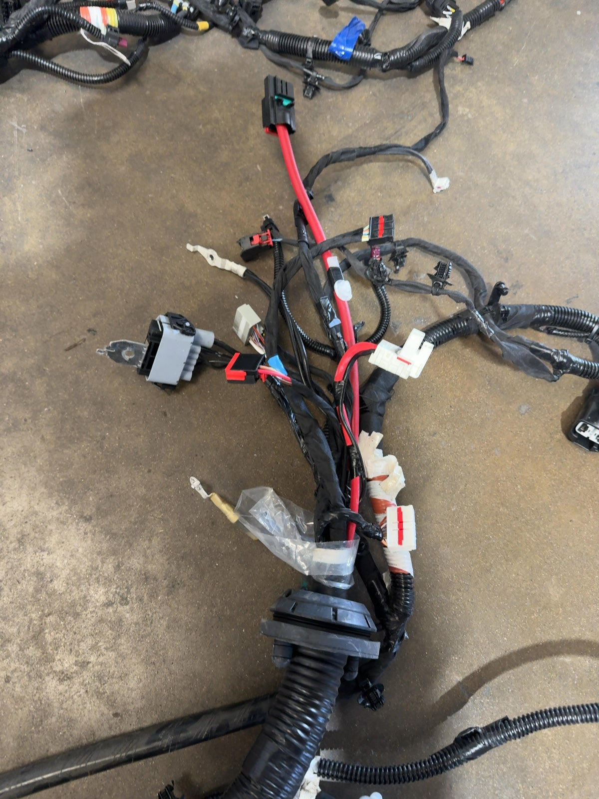 2025 Tesla Model 3 Highland Front Body Harness 1897330-11-B